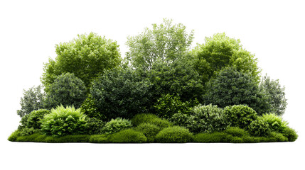 Lush green foliage and bushes create a dense, natural border. Perfect for nature backgrounds or environmental concepts.