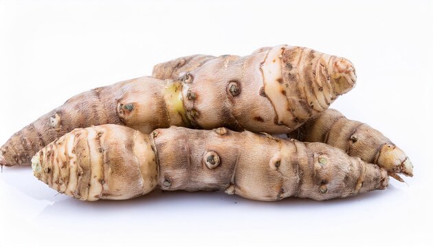 Arrowroot on white background. Arrowroot Isolated.