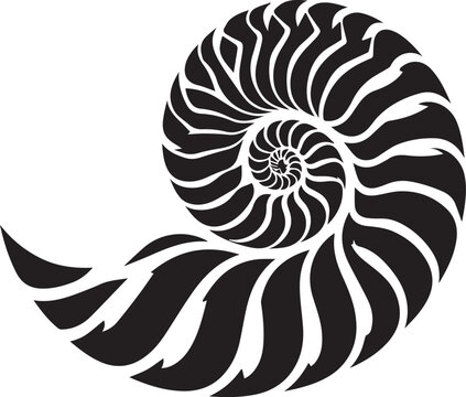 recommend clip art: Paper Nautilus silhouette vector and logo black and white