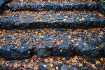 晩秋の伊香保温泉 石段の紅葉（群馬県渋川市）