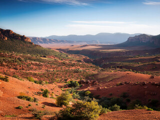 landscape with desert