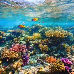 Vibrant coral reef visible through crystal-clear tropical waters, with colorful fish swimming among the coral.