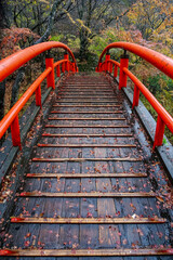 晩秋の伊香保温泉 河鹿橋の紅葉（群馬県渋川市）