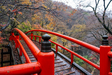 晩秋の伊香保温泉 河鹿橋の紅葉（群馬県渋川市）