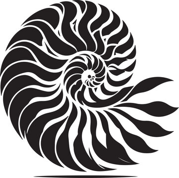 recommend clip art: Paper Nautilus silhouette vector and logo black and white