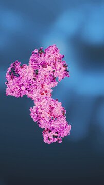 Antibody floating, concept of innate and acquired immunity 3d rendering