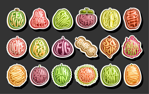 Vector Exotic Fruit Set