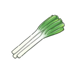 シンプルな長ねぎのイラスト