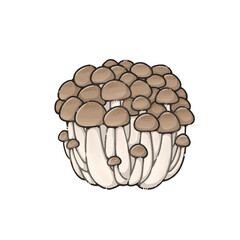 シンプルなしめじのイラスト