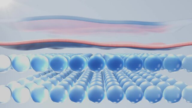 Close-up 3D model of hydrated skin with aligned blue molecular spheres. Skin surface protected by even structure, showing moisture lock and barrier support.