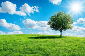 A single tree stands tall in a green field under a bright blue sky with fluffy white clouds and a shining sun.