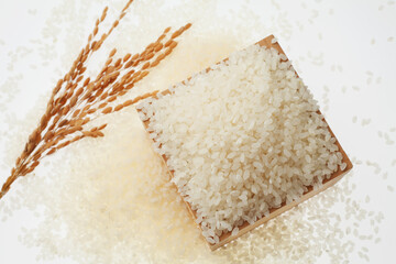 米粒　　白バック