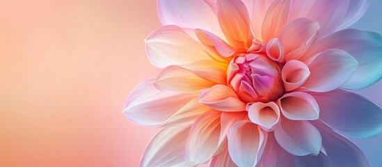 Pastel Flower with Delicate Petals