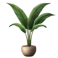 Minimal Plant in Pot