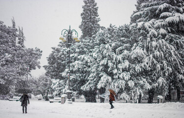 Fototapety na wymiar - Fototapeta24.pl