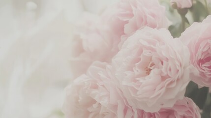 A bunch of pink flowers in a vase