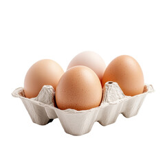 Fresh Brown Eggs in Carton