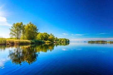 Serene Clear Blue Sky with No Clouds Perfect for Backgrounds and Nature-Themed Projects