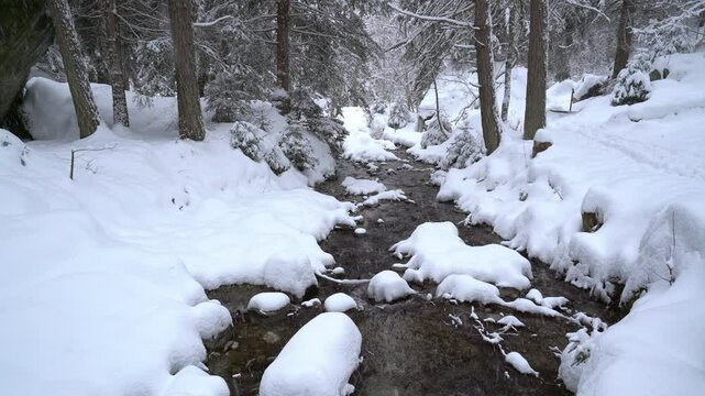 Icy mountain stream in winter in the middle of the forest. Snow-covered landscape and snowstorm in nature - static shot