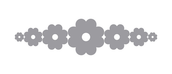 Silver Text Divider Isolated on White