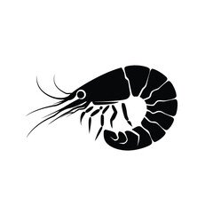 Fototapeta premium black silhouette of a shrimp
