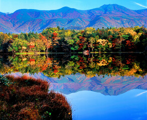 知床五湖の紅葉（斜里町）