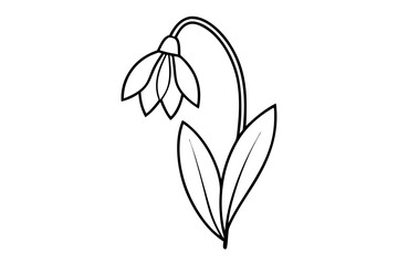 Obraz premium lily of the valley