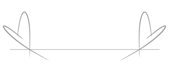 Silver Text Divider Isolated on White