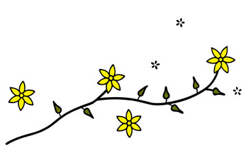 flowers on white background