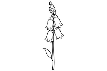 Lush Tall Foxglove Stalk Stunning Vector Design for Botanical Lovers
