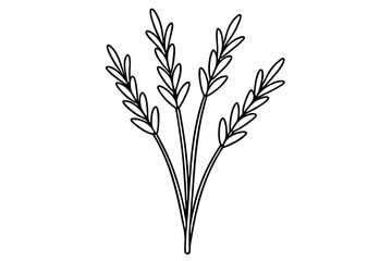 Artistic Vector of Heather Flowers Cluster with Tall Stems
