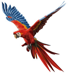 Hand drawn watercolor of parrot flying isolated on transparent background © somwut