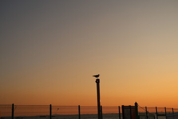 sunset on the pier