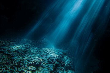 Obraz premium The sun shines through the water, casting mottled light and shadow, intertwined with countless bubbles, like a dance of light. Various aquatic plants sway gently in the water