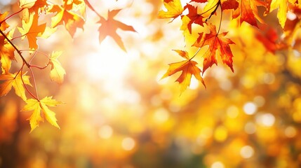 Fototapeta premium Golden Autumn Leaves with Soft Blur Background