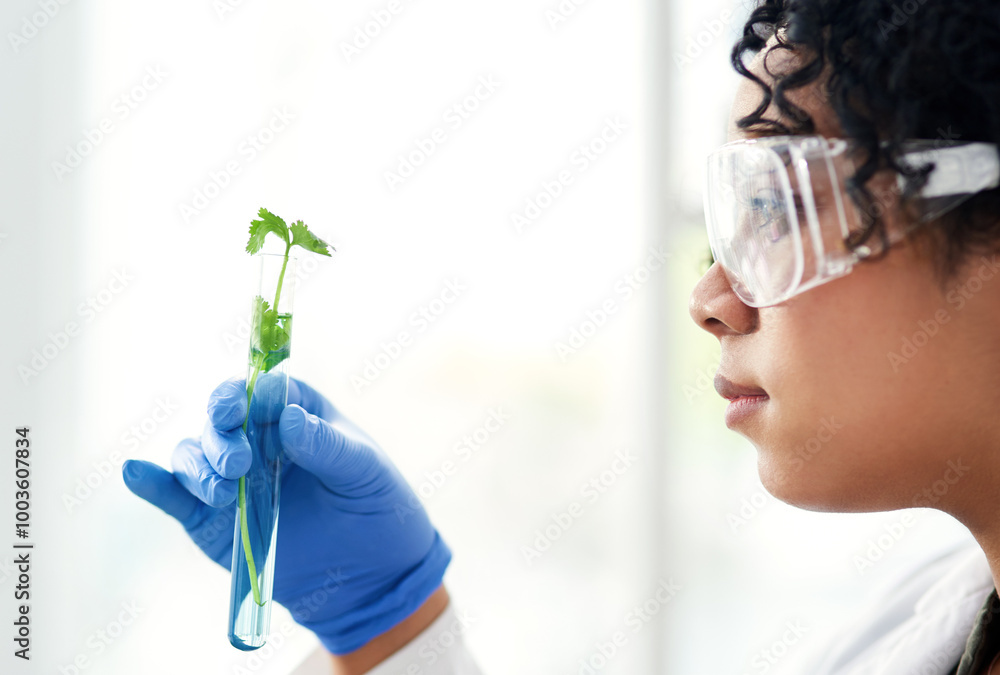 Wall mural science, research and woman with plant in test tube for gmo development, growth or inspection in lab