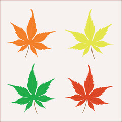 autumn leaves collection