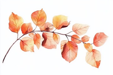 Fototapeta premium PNG format artwork depicting a branch adorned with colorful autumn leaves.