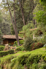 Afternoon view of cabins in a forest in Mazamitla, Jalisco, Mexico.