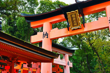 京都 伏見稲荷大社　美しい朱色の鳥居（日本京都府京都市）Kyoto Fushimi Inari Taisha Shrine, beautiful vermilion torii gates with copy space (Kyoto City, Kyoto Prefecture, Japan)