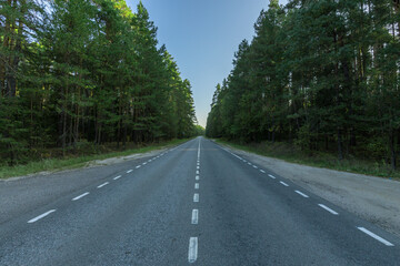 A road with a lot of trees on either side