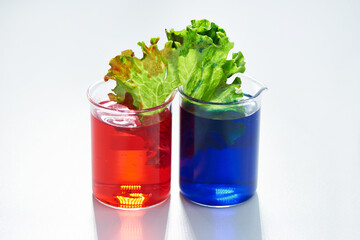 Science, blue and red liquid for plants for agro development, sustainability or growth in studio. Leaf, biotechnology or gmo innovation in laboratory for leaves in glass container on white background
