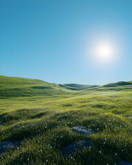 Obraz premium Green Grass Field with Rocks and Flowers, Illustration