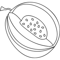 Cantaloupe Icon