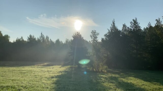 sun and sunlight in the morning in the autumn forest