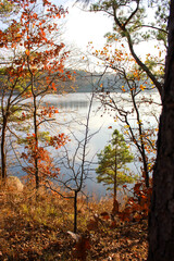 Fall Evening Lakeview Through The Trees