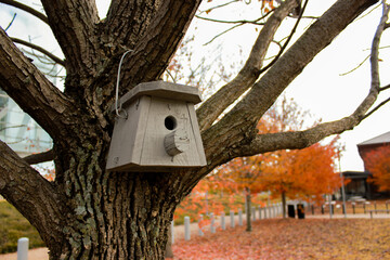 Fall wooden angular homemade Birdhouse