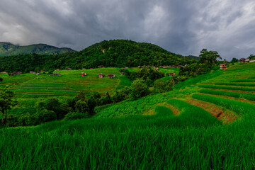 Natural background on the mountain with green rice terraces. Pa Bong Piang is one of the beautiful viewpoints in Chiang Mai, Thailand, overlooking the surrounding mountains. It is always popular.