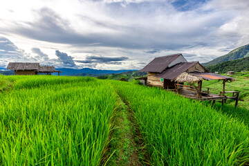 Natural background on the mountain with green rice terraces. Pa Bong Piang is one of the beautiful viewpoints in Chiang Mai, Thailand, overlooking the surrounding mountains. It is always popular.