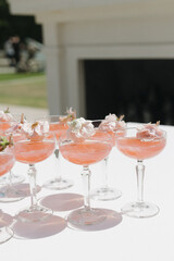 Wedding Reception Pink Signature Drinks